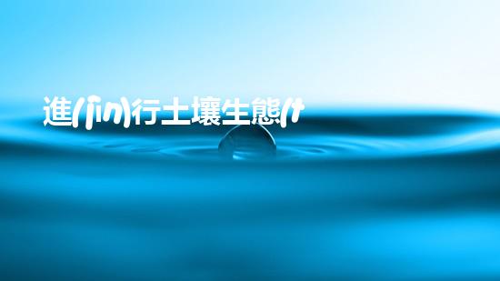 進(jìn)行土壤生態(tài)修復(fù)，讓土地變得更加肥沃健康.